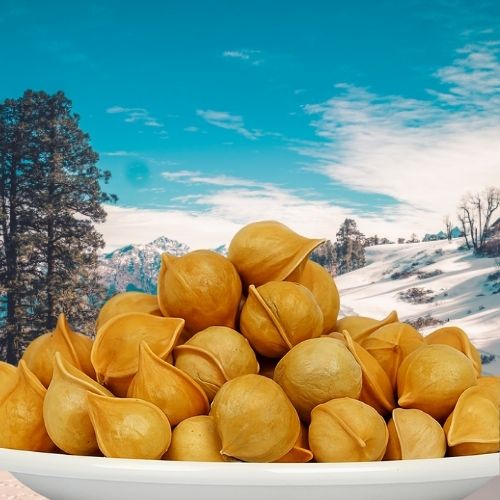 snow mountain garlic or kashmiri garlic pic from the front with himalayan snow mountain backdrop