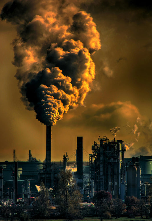 Combat-the-Effects-of-Air-Pollution-How-to-Boost-Your-Immunity-Naturally Real Himalayas