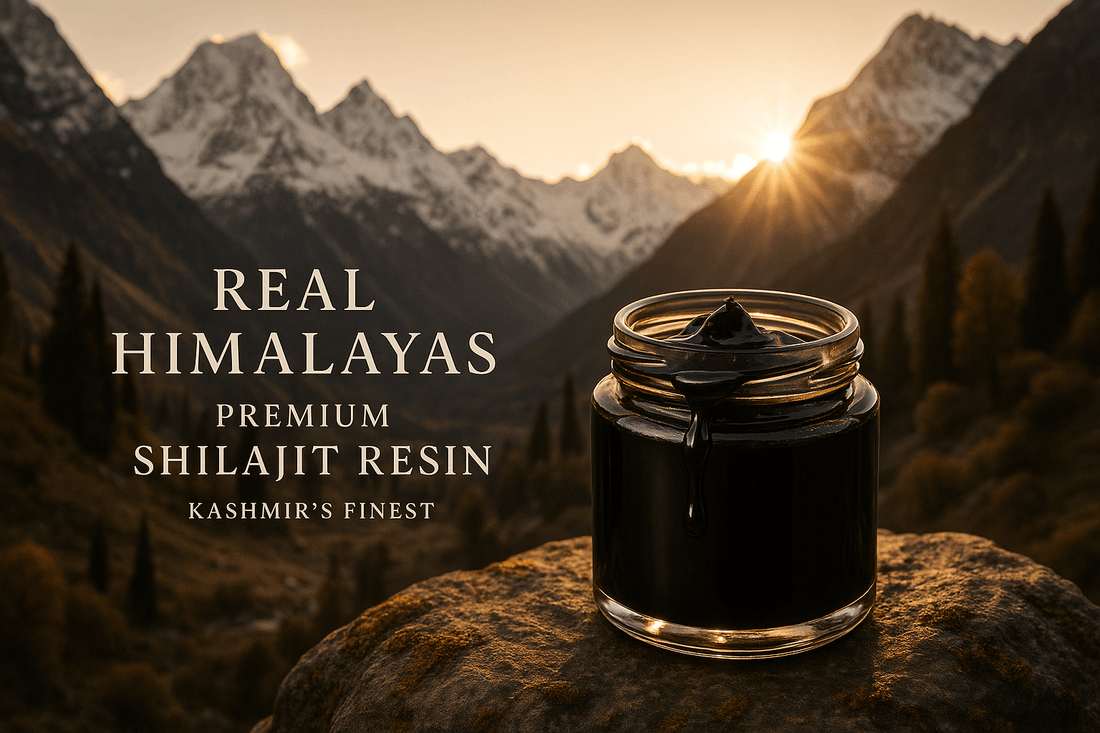 Jar of finest himalayan shilajit jar on the rock with himalayan backdrop at sunset