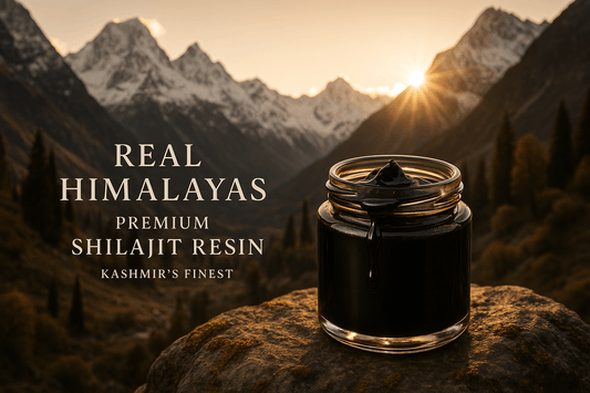 Jar of finest himalayan shilajit jar on the rock with himalayan backdrop at sunset