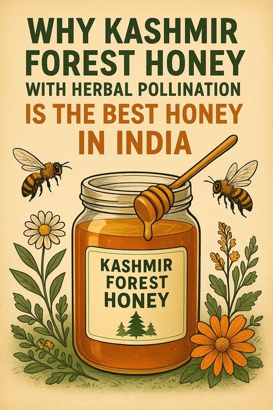 Why-Kashmir-Forest-Honey-with-Herbal-Pollination-is-the-Best-Honey-in-India Real Himalayas